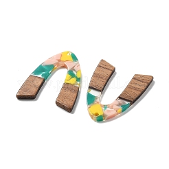 Подвески из смолы и ореха&nbsp;FIND-R051-11F