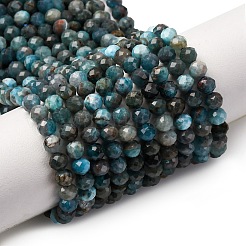 Природного апатита нитей бисера&nbsp;X-G-A276-C08-4mm-01