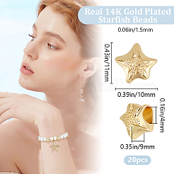 20 шт. бусины из сплава с большим отверстием&nbsp;TIBEB-BBC0001-01