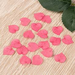 Прозрачные акриловые подвески&nbsp;X-PL591-3