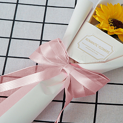 Нейлоновые ленты&nbsp;OCOR-LP0001-69B