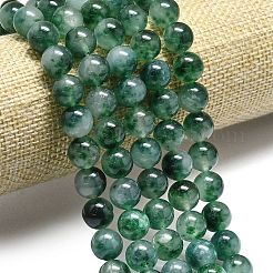 Chapelets de perles en jade de malaisie naturelle&nbsp;G-L645-C01-10mm-03