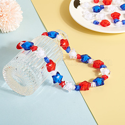 450шт 6 стиля прозрачные акриловые бусины&nbsp;TACR-CD0001-05