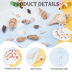 120 шт. 12 стиля натуральных спиральных ракушек большие подвески SSHEL-GA0001-05