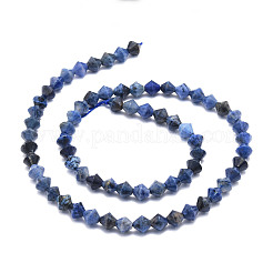 Perline sodalite naturale fili&nbsp;G-E569-D07