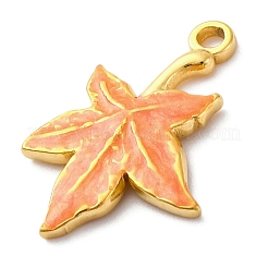 Подвески из нержавеющей стали 304 с эмалью&nbsp;STAS-S163-35G-01