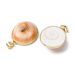 Подвески из латуни из натуральных ракушек KK-H002-01G