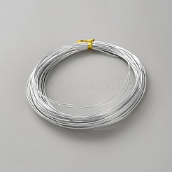 平らなアルミニウムワイヤー  DIYクラフト用  銀  1x0.5mm  約32.81フィート（10m）/ロール&nbsp;AW-WH0020-01A