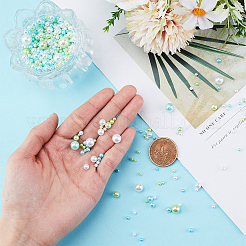 2050 шт. имитация смоляного нейл-арта DIY-NB0013-50B