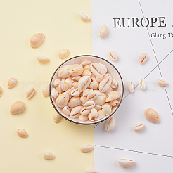 Бусины из натуральных раковин каури BSHE-CJ0002-01