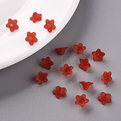 Прозрачные акриловые бусины&nbsp;X-PL554-01