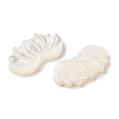 Резные бусины из натуральной ракушки трохуса SHEL-P017-12