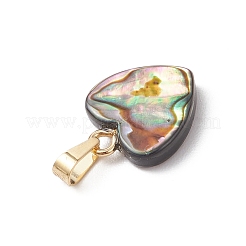 Природные пауа оболочки подвески&nbsp;PALLOY-JF05127