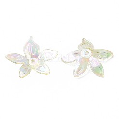 Прозрачные акриловые бусины&nbsp;MACR-S373-102-C06