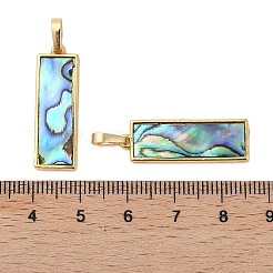 Подвески из натуральной ракушки пауа&nbsp;KK-E059-14G