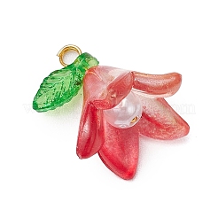 20шт акриловые подвески PALLOY-JF03110-03