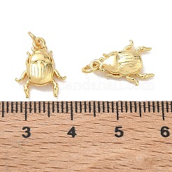 Insektenanhänger aus Messing&nbsp;KK-E797-06G