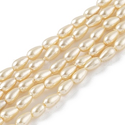 Полированные оболочки жемчужные бусины пряди BSHE-L042-A01-01