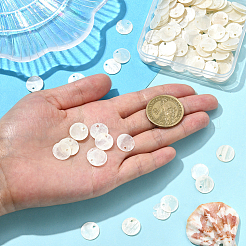 180 шт. подвески из ракушек капиз&nbsp;SHEL-SC0001-89