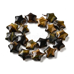 Природных тигровый глаз бисер нитей&nbsp;G-U023-C01-03