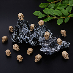 Décoration d'affichage de crâne en résine sur le thème d'halloween&nbsp;RESI-WH0029-57