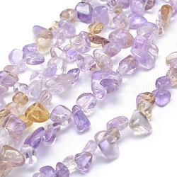 Chapelets de perles en amétrine naturelle, puce, 11~22x8~11x4~10mm, Trou: 1mm, 15.3 pouce (39 cm)