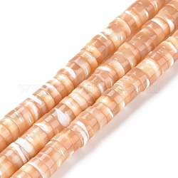 Chapelets de perles de coquille de trochid / trochus coquille, colonne, brun, 6x2mm, Trou: 0.8mm, Environ 172 pcs/chapelet, 15.5 pouce (39.5 cm)