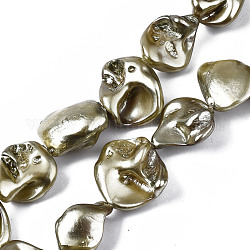 Abalorios de concha abalorios hebras, pulido, pepita, caqui oscuro, 15~25x10~26x5~16mm, agujero: 1 mm, aproximamente 18 pcs / cadena, 14.96 pulgada