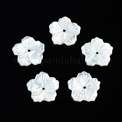 Guscio bianco naturale madreperla perle di conchiglia, fiore, 12x12x2mm, Foro: 1 mm