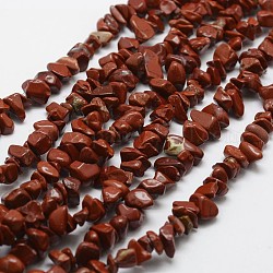 Natürliche rote Jaspis Perlen Stränge, Chip, rot, 3~5x7~13x2~4 mm, Bohrung: 0.4 mm, 34.9 Zoll