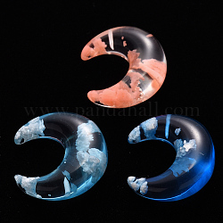 Perle di resina epossidica trasparente, mezzo forato, mezzaluna corno, colore misto, 25x23x10mm, Foro: 1 mm