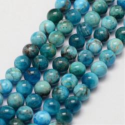 Chapelets de perles en apatite naturelle, ronde, 6.5mm, Trou: 1mm, Environ 62 pcs/chapelet, 15.7 pouce