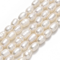 Fili di perle di perle d'acqua dolce coltivate naturali, riso, biancheria, 5.5~8.5x4~4.5mm, Foro: 0.6 mm, circa 51~54pcs/filo, 13.78'' (35 cm)