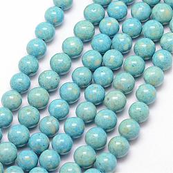 Fossil Beads, Dyed, Round, Sky Blue, 8mm, Hole: 0.8mm, about 50pcs/strand, 16inch