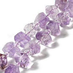 Natural Amethyst Beads Strands, Chip, 14~16x13~14x8.5~9.5mm, Hole: 1.2mm, about 26pcs/strand, 15.16''(38.5cm)