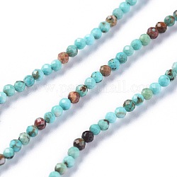 Natural Howlite Beads Strands, Dyed, Faceted, Round, Aqua, 2~2.5mm, Hole: 0.5mm, about 173pcs/strands, 15.35~15.75 inch(39~40cm)