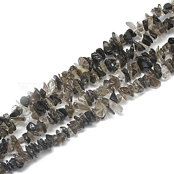 Chapelets de perles de quartz fumées naturelles, puce, 3~11x3~5x1~4mm, Trou: 1mm, Environ 380~400 pcs/chapelet, 33 pouce