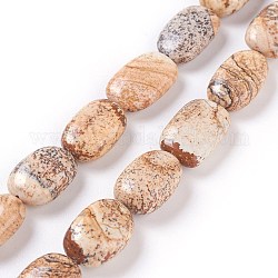Chapelets de perles en jaspe avec images naturelles, ovale, 16~18x10~12x6~8mm, Trou: 1.5mm, Environ 23~25 pcs/chapelet, 15.35 pouce (39 cm)
