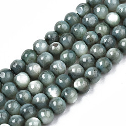 Eau douce naturelle de coquillage perles brins, teinte, ronde, bleu cadet, 4mm, Trou: 0.8mm, Environ 97~99 pcs/chapelet, 14.88 pouce ~ 15.16 pouces (37.8~38.5 cm)