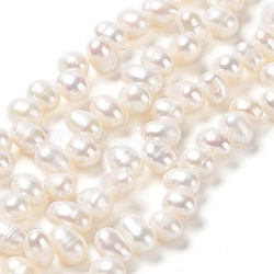 Fili di perle di perle d'acqua dolce coltivate naturali, grado 5 un, riso, colore conchiglia, 6~7x4~5mm, Foro: 0.5 mm, circa 71pcs/filo, 14.65'' (37.2 cm)