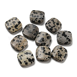 Perles de jaspe dalmatien naturelle, carré plat, 26.5~27x26.5~27x5~6mm, Trou: 0.9~1mm