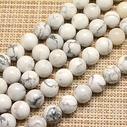 Chapelets de perles en howlite naturelle, ronde, 6mm, Trou: 1mm, Environ 60 pcs/chapelet, 15 pouce