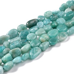 Chapelets de perles en amazonite naturelle, pépites, pierre roulée, 5~8.5x5.5~7x3.5~4mm, Trou: 0.7mm, Environ 57 pcs/chapelet, 15.2 pouce (38.6 cm)