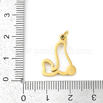 Подвески из нержавеющей стали 304 STAS-R137-01G-L-1