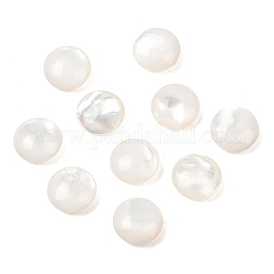 Натуральные белые бусины из ракушек SSHEL-B006-03-1