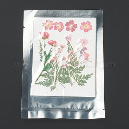 Прессованные сушеные цветы DIY-H153-A10-1