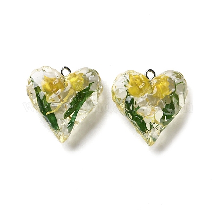 Подвески из прозрачной смолы с сухоцветами RESI-A043-03A-1