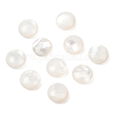 Натуральные белые бусины из ракушек SSHEL-B006-03-1