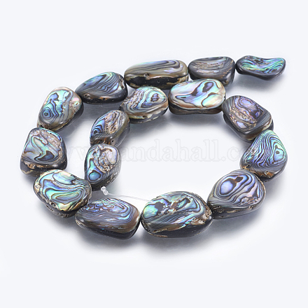 Brins de perles de coquille d'ormeau naturel / coquille de paua SSHEL-P014-05-1