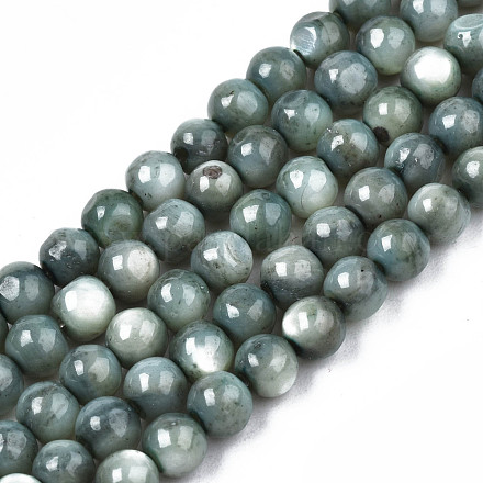 Eau douce naturelle de coquillage perles brins SHEL-N003-24-B01-1